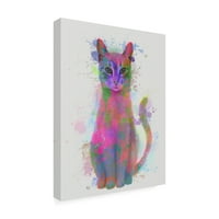 Zaštitni znak likovne umjetnosti 'mačka Rainbow Splash 4' platnena Umjetnost Fab Funky