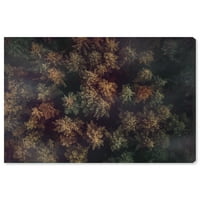 Wynwood Studio platno vrh drveća cvjetno i botaničko drveće zidno umjetničko platno Print zeleno 30x20