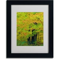 Zaštitni znak Likovna umjetnost šumska ljepota umjetnost na platnu Kathie McCurdy, crni okvir