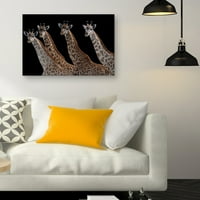 Žirafe u nizu Noir od Staffan Widstrand Giraffe Photo Platnet Art