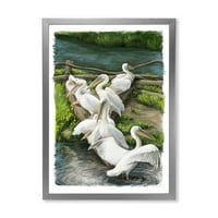 Designart' pelikani odmaraju se u blizini riječne vode ' tradicionalni uokvireni umjetnički Print