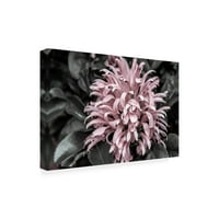 Eva Bane' Stormy Spring 01 ' Canvas Art