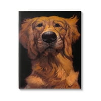 Stupell Industries Zlatni retriver portret pasa kućnih ljubimaca Bold Animal Painting, 40, dizajn Thomasa