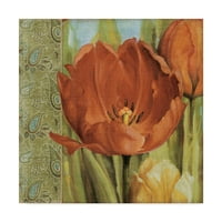 Zaštitni znak likovne umjetnosti 'Tulip Paisley I' Canvas Art Od Lisa Audit