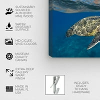 Runway Avenue Nautical and Coastal Wall Art Canvas Prints 'Sea Turtle and Woman by David Fleetham' Marine