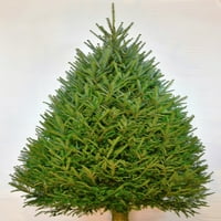 6-ft balzam ošišan svježe posječeno božićno drvo