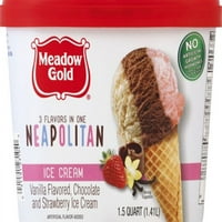 Meadow Gold Ice Cream Neapolitan 1. Quart Scround
