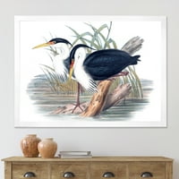 Designart' drevni Bird Life II ' tradicionalni uokvireni umjetnički Print