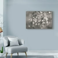 Zaštitni znak likovne umjetnosti' Blush Blossoms I BW ' Canvas Art od Sue Schlabach