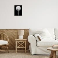 Stupell Industries moderna pahuljasta stabljika maslačka crno-bijela fotografija uokvirena zidna Umjetnost,