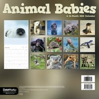 Trendovi Međunarodni Zidni Kalendar Beba Životinja