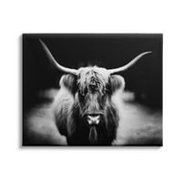 Stupell Industries Bold Longhorn portret crno-bijela fotografija goveda, 24,dizajn phburchett