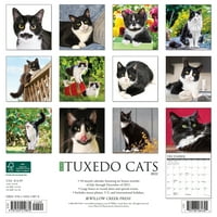 Willow Creek Press Samo Tuxedo Mačke Zidni Kalendar