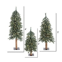 Vickerman 2 '3' 4 'prirodna kora alpska umjetna set božićnog drveta, topla bijela LED svjetla sa durama