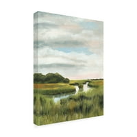 Zaštitni znak likovne umjetnosti 'Marsh Landscapes I' Canvas Art Naomi McCavitt