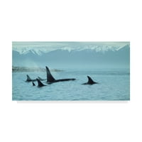 Zaštitni znak likovne umjetnosti' Silent Passage Orcas ' platnena Umjetnost Rona Parkera