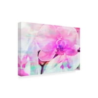 Eva Bane 'Orchid Vibrancy 06' Platno Art