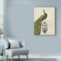 Zaštitni znak likovne umjetnosti 'paun Birdcage I' umjetnost na platnu Sue Schlabach