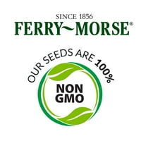 Ferry-Morse Catnip Herb Seeds-Sjeme Za Sjeme, Puno Sunce