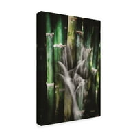 Zaštitni znak likovne umjetnosti' Wet Bamboos ' platno Art Philippe Sainte-Laudy