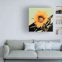 Jacob Green' Pop Art Sunflower II ' Canvas Art