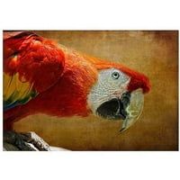 Zaštitni znak Likovna umjetnost šarena ptica Umjetnost platna Lois Bryan