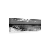 Zaštitni znak likovne umjetnosti 'Shore Panorama VII' platno Art Jeff Pica
