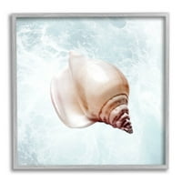 Stupell Industries Nautical Beach Seashell grafička umjetnost Gray Framered Art Print Wall Art, dizajn Marcus