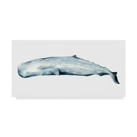 Zaštitni znak likovne umjetnosti 'kitova portret II' platno umjetnost Grace Popp
