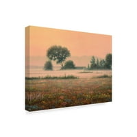 Zaštitni znak likovne umjetnosti' Misty Morning Orange Sky ' platnena Umjetnost Jamesa W. Johnsona