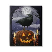 Stupell Industries Sablasno Noćna noć Halloween nebe Crow-O'-Latern puni mjesec, 20, Dizajn od Grace Popp