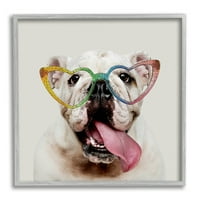 Stupell Happy Bulldog Rainbow Heart Naočare Životinje I Insekti Slikarstvo Siva Uokvirena Art Print Wall