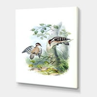 Designart 'Drevne Ptice U Divljini I' Tradicionalni Platneni Zidni Umjetnički Print