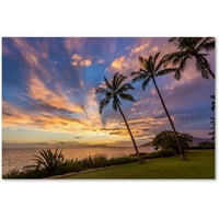 Zaštitni znak likovne umjetnosti' Magical Hawaiian Sky ' platno Art Pierre Leclerc