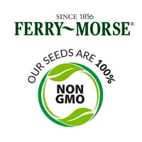 Ferry-Morse 20mg Rudbeckia Indijski ljetni višegodišnji paket sjemena cvijeća