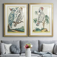 Wexford Home Pastel Birds i Premium Framed Print, 26.5 36.5 - spreman za vješanje, zlato