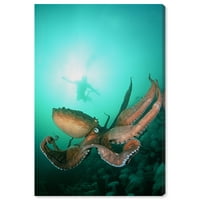Wynwood Studio Nautical and Coastal Wall Art Canvas Prints 'Giant Pacific Octopus by David Fleetham' Marine