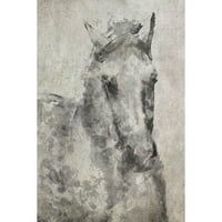 Marmont Hill bijeli sivi konj Irene Orlov slika Print na omotanom platnu