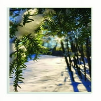 Stupell industrija uređenja doma kroz Pines zimski Snježni pejzaž fotografija drvena ploča Michelle DeCarli