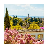 Zaštitni znak Likovna umjetnost 'proizvedeno u Španiji cvijeće Alhambre sa jesenjim bojama' umjetnost na