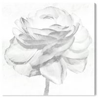 Wynwood Studio 'bijeli srebrni božur' cvjetni i botanički zidni umjetnički platneni Print - Bijela, Siva,