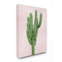 Stupell Industries Desert Cactus Plant minimalna sočna priroda Pink Green Canvas Wall Art dizajn Mia Jensen, 16 20
