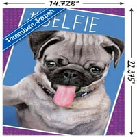Keith Kimberlin - Kittens - Pug - Selfie zidni poster, 14.725 22.375