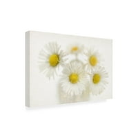 Cora Niele' Daisies ' Platno Art