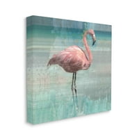 Stupell Industries slojevita Flamingo ptica portret grafička Umjetnička galerija umotano platno print Wall