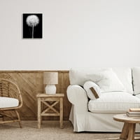 Stupell Industries moderna pahuljasta stabljika maslačka crno-bijela fotografija drveni zid Art, 15, dizajn Jadei Graphics