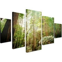 Zaštitni znak Likovna umjetnost Muir Woods Umjetnost platna Ariane Moshayedi Set od 5 ploča