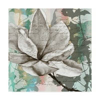 Zaštitni znak likovne umjetnosti' NC Pastel Magnolias II ' platnena Umjetnost Jennifer Goldberger