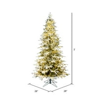 Vickerman 3 '28 od kamasnih božićnih božičara, toplo bijela dura-lit® LED svjetla - Fau Frasier božićno drvce
