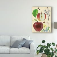 Zaštitni znak likovne umjetnosti' studija jabuke i cvijeta II ' umjetnost na platnu Melisse Wang